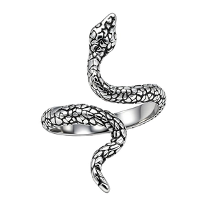 Vintage snake-shaped open ring in silver-tone titanium steel with detailed scale texture