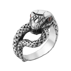 Anello da Uomo Serpente in Acciaio al Titanio Vintage Design Animale Gothic Punk Con Occhi di Strass Rossi Gioielli Antichi