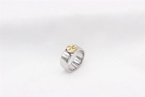 Detail of two-tone punk style ring with golden skull relief on silver steel band