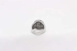 Detail view of the wide inner band and smooth steel structure of the lion ring