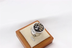 Close-up of vintage lion head relief on silver steel ring with black round base
