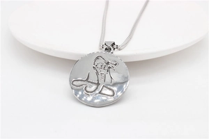 Macro shot of silver cobra medallion pendant with engraved ancient symbol on steel chain