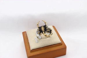 Macro shot of 3D scorpion ring showing black and gold dual-tone metal details and textures
