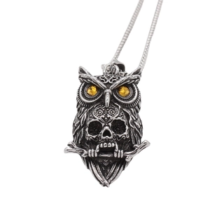 Gothic Stainless Steel Owl Skull Pendant For Men Vintage Dark Owl Necklace With Yellow Rhinestone Antique Silver Jewelry