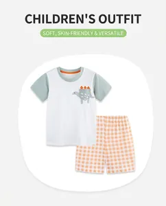 Flat lay of a child's summer set featuring a dinosaur print T-shirt and gingham shorts