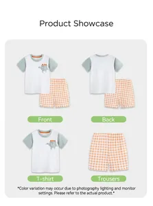 Detail views of boys dinosaur t-shirt and orange checkered shorts summer outfit set