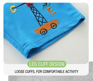 Détail d'un pantalon en coton bleu vif orné d'une broderie colorée de grue de qualité