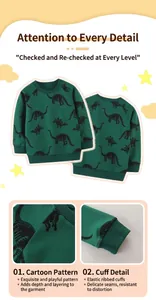 Close-up of green cotton boys sweatshirt with dinosaur pattern and ribbed elastic cuffs