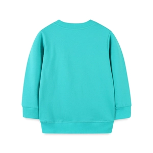 Teal blue girls long sleeve sweatshirt featuring ribbed cuffs on a white background