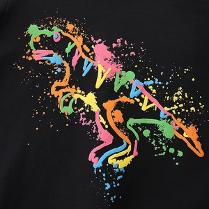 Boys' black cotton sweatshirt featuring a colorful street art dinosaur print on the chest