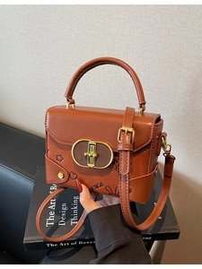 Brown leather crossbody bag with cartoon prints and a golden oval twist lock