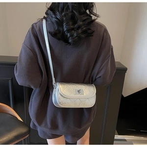 Silver quilted crossbody bag with metallic texture and chain strap shown on model back