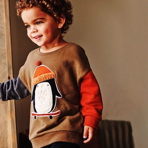 Boys Cotton Sweatshirt Cartoon Penguin Embroidery Colorblock Long Sleeve Pullover Autumn Warm Top Casual Clothes For Kids