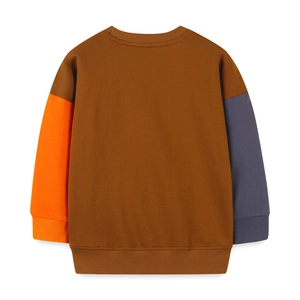 Back view of boys long sleeve crewneck sweatshirt with brown, orange, and grey color block