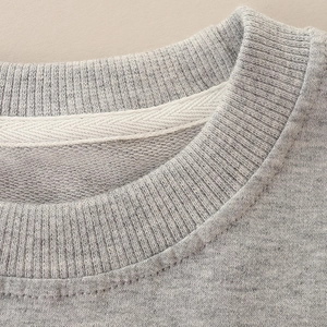 Close-up of gray crewneck sweatshirt showing rib knit collar and reinforced neck tape