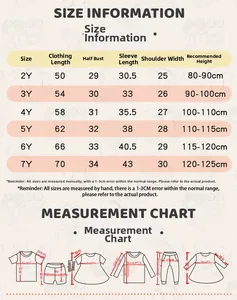 Size chart for girls embroidered mesh princess dress including measurements for 2Y-7Y