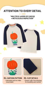 Detail view of cotton kids pumpkin tee featuring raglan sleeves and ribbed cuffs