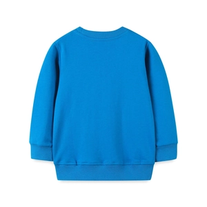 Blue crewneck sweatshirt for boys with ribbed cuffs and hem, back view on white background