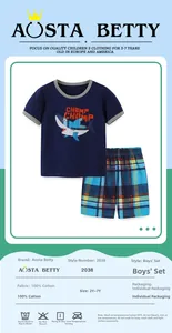 Specifiche del tessuto 100% cotone per il set estivo t-shirt squalo e pantaloncini ragazzo