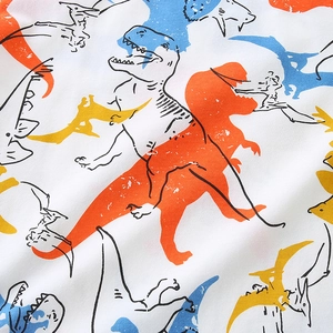 Kids cotton short sleeve t-shirt set with colorful dinosaur cartoon prints in white