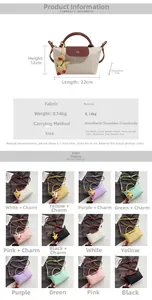 Size guide for compact cloth handbag showing dimensions 22x12x7cm and color options