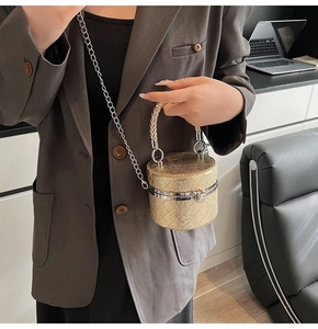 Modische Zylinder-Mini-Beuteltasche mit Goldpailletten und silbernen Kettendetails