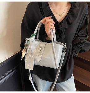 Light gray crocodile pattern crossbody bag detail with silver metal lock and logo tag