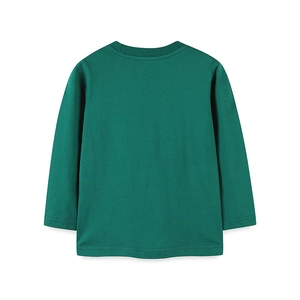Boys long sleeve dark green cotton T-shirt with dinosaur print back view on white background