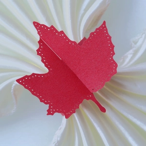 Macro shot of red maple leaf paper napkin ring with laser-cut hollow details on silk