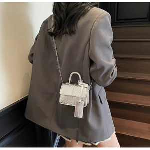 Detail of silver crossbody bag featuring woven texture and metallic chain strap
