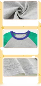 Detail of grey cotton boys' T-shirt with green raglan sleeves and blue ribbed neckline