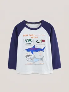 Jungen Hai Infografik Raglan Langarm T-Shirt Baumwolle Casual Bedruckt Kontrastfarbe Rundhals Pullover Top