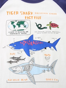 Jungen Langarm-T-Shirt aus Baumwolle mit detailliertem Tigerhai-Infografik-Druckmotiv