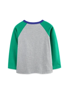 Boy's long-sleeve cotton T-shirt with grey body, green raglan sleeves and purple neck