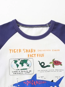 Langärmeliges Jungen-T-Shirt mit Tigerhai-Druck und Raglanärmeln aus weichem Strick