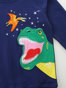 Kids dinosaur embroidery sweatshirt in navy blue with stars and long sleeves