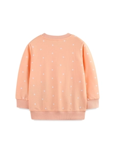 Girls Polka Dot Sweatshirt 100% Cotton Long Sleeve Pullover With Hen Applique Embroidery For Toddlers Kids Fall Sportswear
