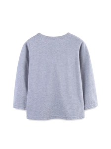 Classic grey cotton long-sleeve dinosaur shirt with crew neck, high-quality back view