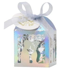 Détail de silhouettes découpées au laser sur une boîte de mariage irisée et ruban bleu