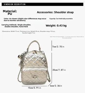 Size chart showing 15x6x20cm dimensions and features for silver quilted backpack