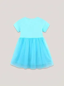 Sky blue girls short sleeve princess dress with embroidery and layered tulle skirt