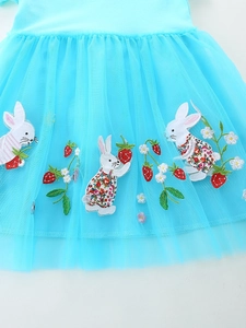 Light blue girls princess dress with fine rabbit and strawberry embroidery on tulle