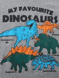 T-shirt gris en coton pour garçon avec cinq imprimés de dinosaures et leurs noms