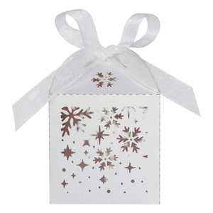 Détails de découpe laser flocon de neige sur boîte cadeau en papier perlé blanc