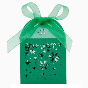 Vue détaillée de la boîte cadeau verte avec flocons ajourés et ruban de satin