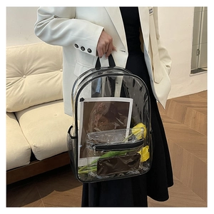 Detail view of transparent PVC backpack featuring black piping and functional side mesh pockets