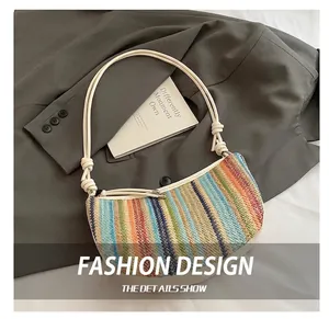 Close-up of woven colorful striped dumpling bag on a stylish grey blazer background