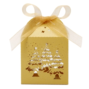 Detail der goldene Laser-Cut-Weihnachtsgeschenkbox mit eleganter Organza-Schleife