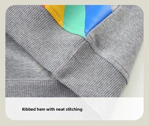 Détail de l'ourlet côtelé et de l'imprimé arc-en-ciel sur le sweat gris garçon