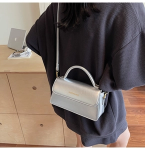 Silver metallic crossbody bag showing side view detail with golden hardware and logo